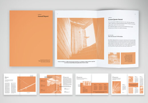 Annual Report with Apricot Accents