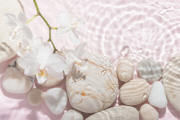 white orchid and stones with shadow on abstract pink background, in water, abstract spa background concept banner for cosmetic body care product