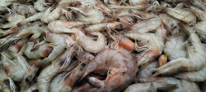 Pile of fresh prawns for sale in market