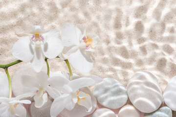 white orchid and stones with shadow over sand background, in water, abstract spa background concept banner for cosmetic body care product