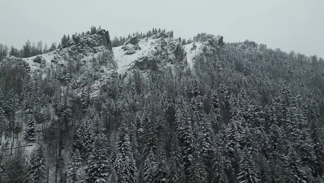 snow covered mountains
