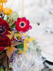 A bouquet of field bright flowers at a wedding banquet. Red anemone close-up, wine glasses.