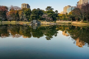 Fototapeta na wymiar Tokyo Garden