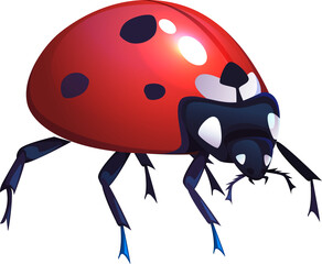 Obraz premium Ladybug