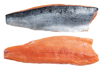 
fillet of red fish isolated png transparent. Salmon fillets, trout. fish scales
