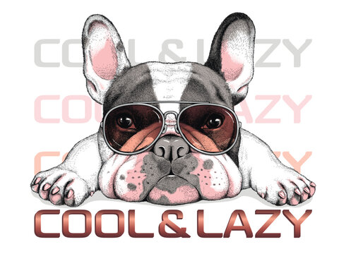 Cute french bulldog sketch. Vector illustration in hand-drawn style . Cool and lazy illustration. Image for printing on any surface