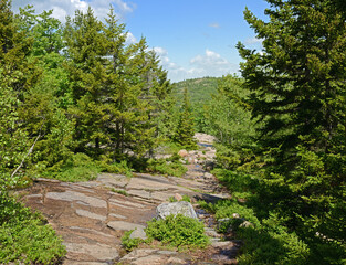 Acadia National Park, State of Maine, USA. Cadillac Mountain granite trail - obrazy, fototapety, plakaty