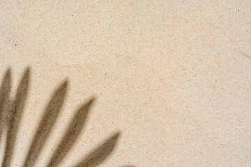 Background of palm leaf shadow on light beach sand with a place for text. Top view.