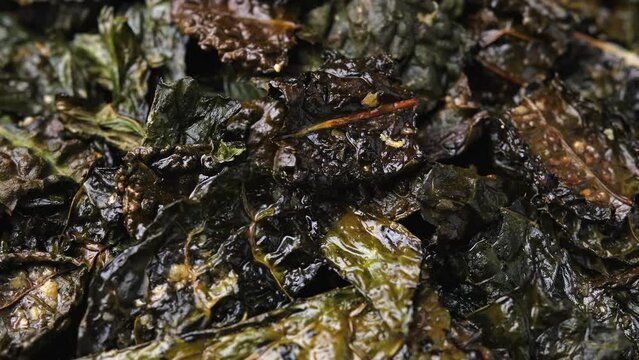 Kale chips, snack. Healthy food. Rotating video.