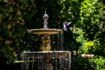 Fototapete bei efototapeten.de bestellen   