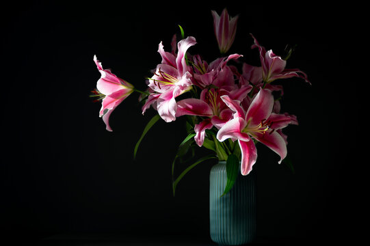 Lilies in bloom