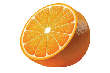 orange slice, half cut orange vector illustration