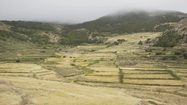 Paisaje Teno Alto  