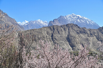 Karakoram Mountains Range and Hopar Valley During Spring in Northern Pakistan