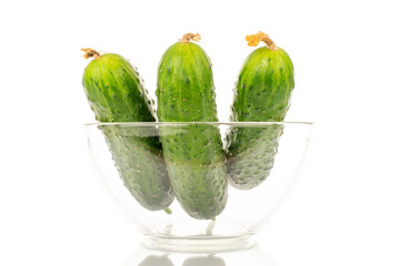 Three ripe green cucumbers in a glass dish, macro, isolated on white background.