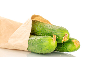 Three ripe green cucumbers in a paper bag, macro, isolated on white background.