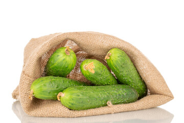 Several ripe green cucumbers in a jute bag, macro, isolated on white background.