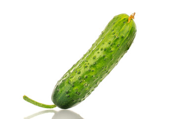 One ripe cucumber gherkin, macro, isolated on white background.
