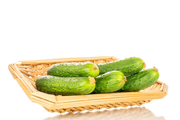 Several ripe green cucumbers on a straw dish, macro, isolated on a white background.