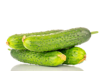 Four ripe green cucumbers, macro, isolated on white background.