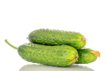 Three ripe green cucumbers, macro, isolated on white background.