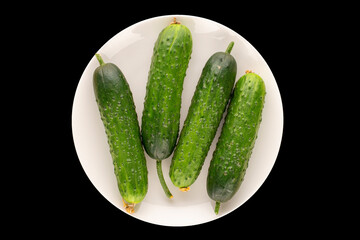 Four ripe green cucumbers with white ceramic plate on black background, macro, top view.