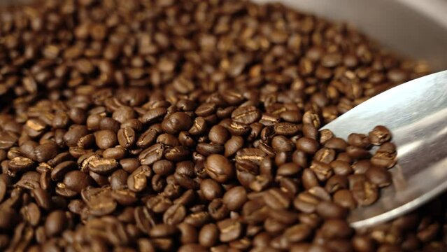 A close-up shot of freshly baked coffee beans being stirred around with a shiny silver spoon. The beans release a rich aroma and the sound of the spoon clinking against the container creates a