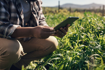 Crop monitoring made simple with smart apps. an unrecognisable man using a digital tablet while...