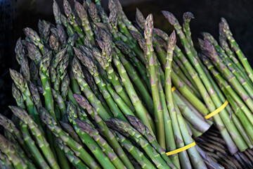 Freshly harvested celery bundles at the farmer's market stand. A vibrant display of crisp, green onions straight from the farm. Close up, copy space, top view, background.