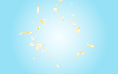 Gold Petal Fly Vector Blue Background. Delicate