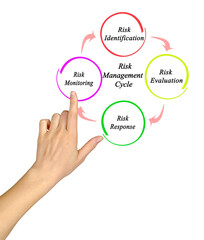  Components of Risk Management Process