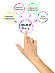 Fototapeta premium Presenting Four Needs of Elderly