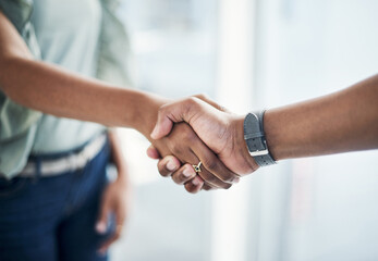 Joining forces will be a game changer. two unrecognizable businesspeople standing in the office...