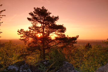 Obraz premium Haute Pierre hill near Milly-La-Foret village. Fontainebleau forest
