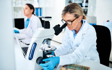 Running diagnostics on clinical data. a mature scientist using a microscope in a lab with her...
