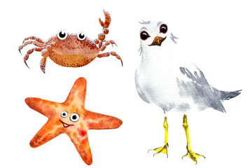 Watercolor illustration of a cartoon seagull, crab and starfish. A seagull , a crab and a star on the beach,drawing