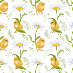 Seamless background with a small chicken surrounded by flowers and chamomile leaves on a white background.