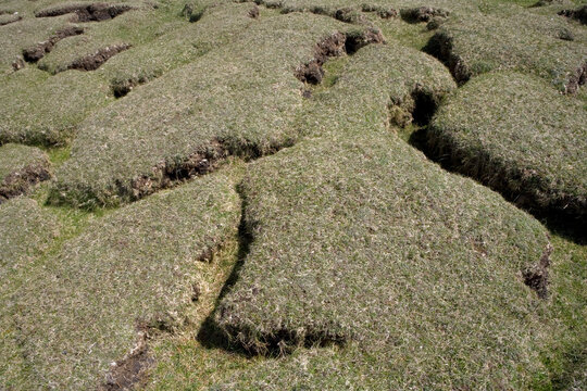 Detailed view of grass formations - Torneady point - aranmore Island - Arainn Mhor - Donegal - Ireland