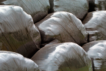 Detailed view of silage plastic round bale - Scotland - UK