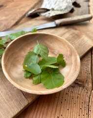 frisch Birke Blatt Blätter sammeln Heilkräuter Wald 
