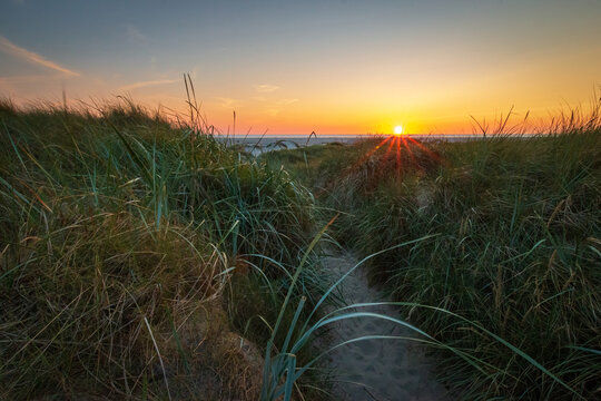 Sunset in the dunes of North Sea beach in St. Peter-Ording, Germany