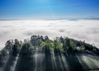 Mgła o poranku © Maciej