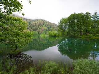 Calm lake view in spring. spring background