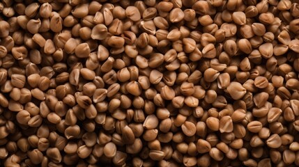 Fototapeta premium buckwheat banner background texture wallpaper