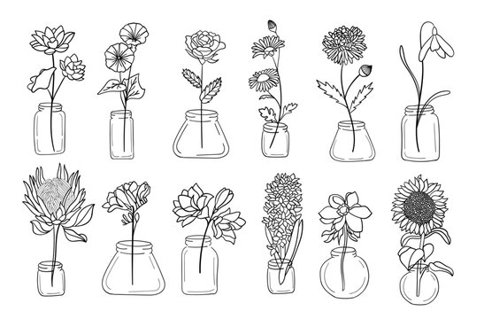 Realistic flower pot line art set. Perfect for illustrations.