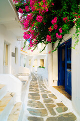 Naklejka na ściany i meble Mykonos island, Greece