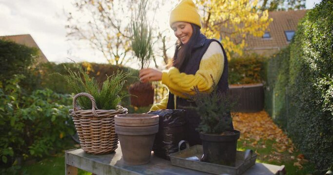 Young woman planting seedlings in pots at a workbench in her backyard on a cool day in autumn