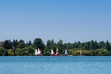 Sailboats sailing on lake under summer blue sky.