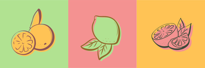 Set of hand drawn of citrus fruits. Vector illustration of a orange, lime and grapefruit in doodle style with summer color in the background.