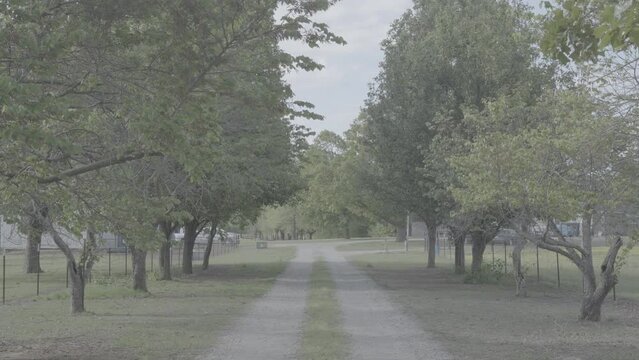Long driveway leading to house / Sony SLog3